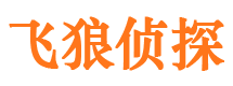 雷州外遇调查取证